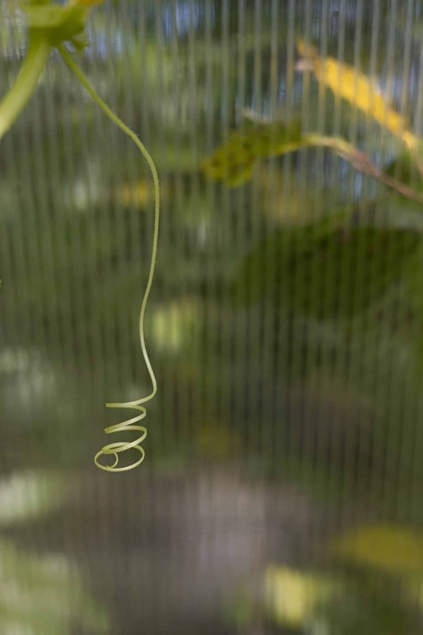 How Can UK Publishers Adapt to the Increase in Audio Book Consumption?